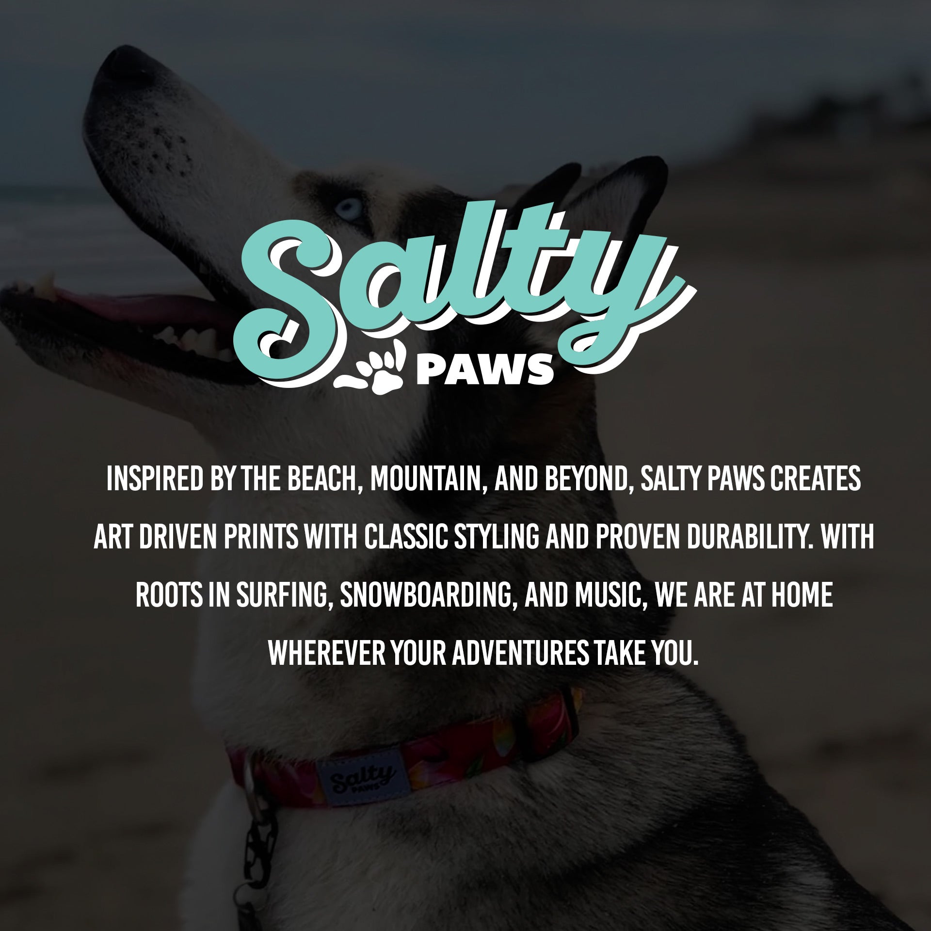 Salty Paws Black Floral Tropical Hawaiian Dog Leash — 6ft