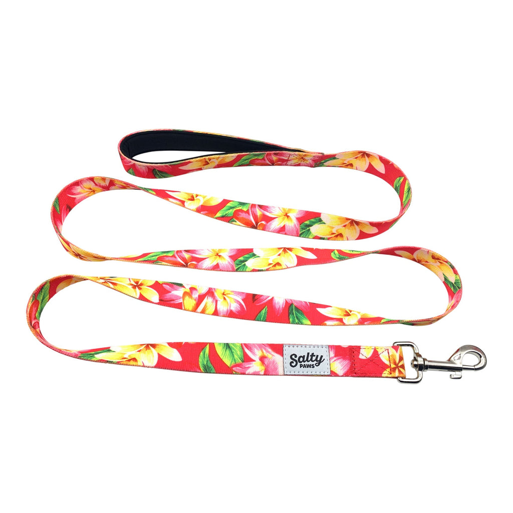 Salty Paws Pink Floral Tropical Hawaiian Dog Leash — 6ft