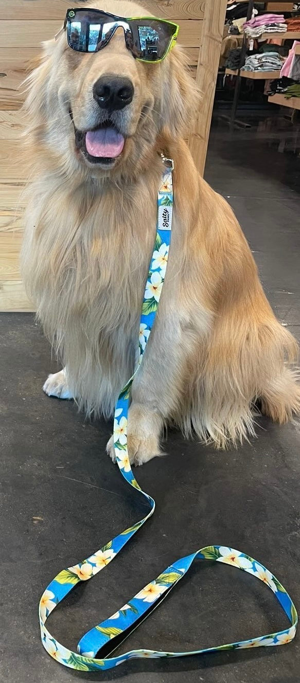 Salty Paws Blue Plumeria Tropical Hawaiian Dog Leash — 6ft